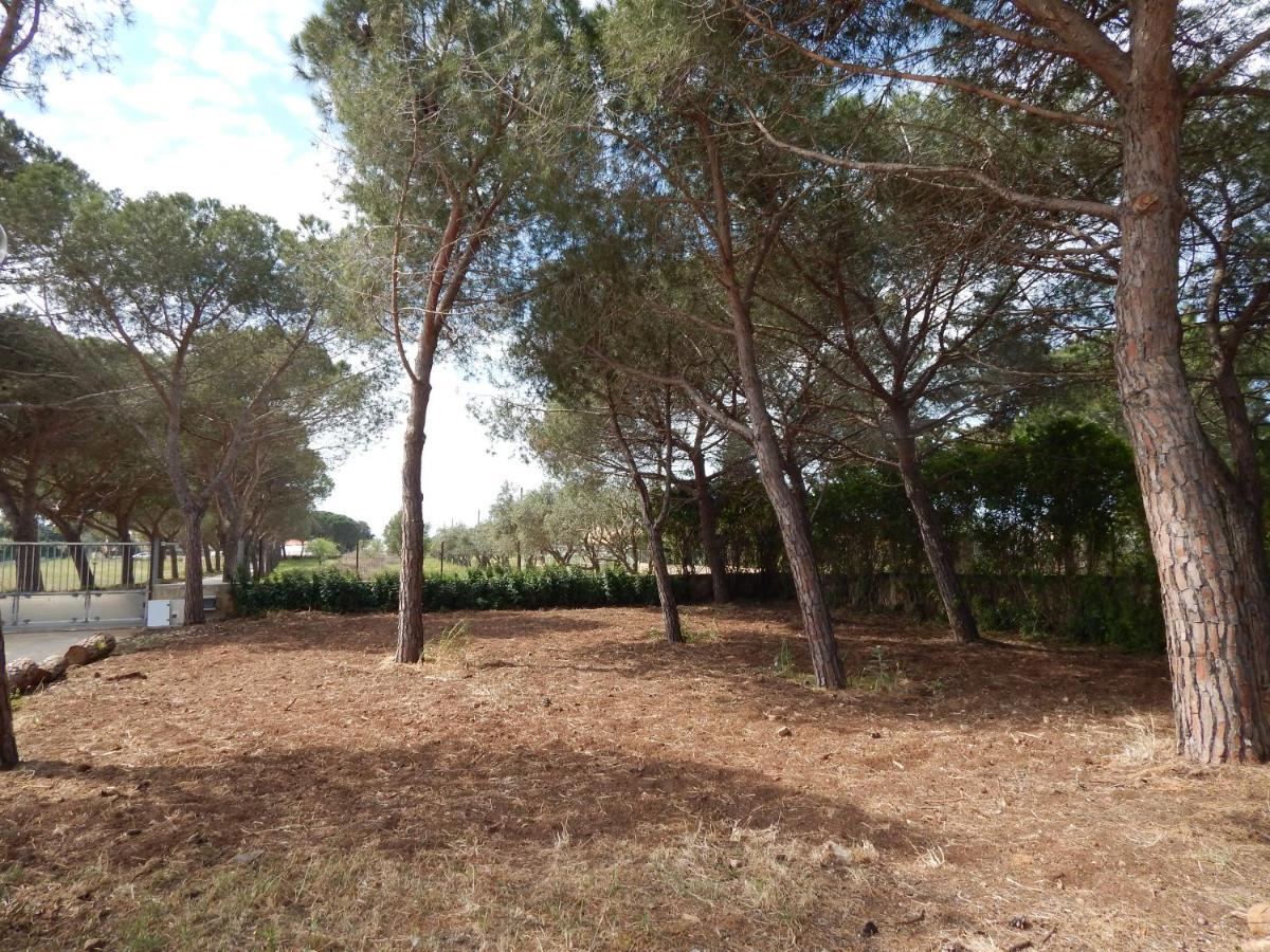 סנטה קרוצ'ה קמרינה Turtle Island Apartments מראה חיצוני תמונה