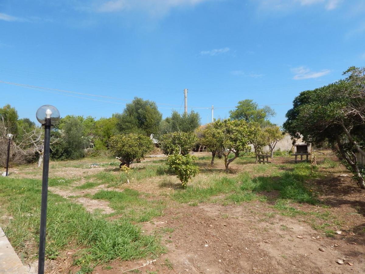 סנטה קרוצ'ה קמרינה Turtle Island Apartments מראה חיצוני תמונה