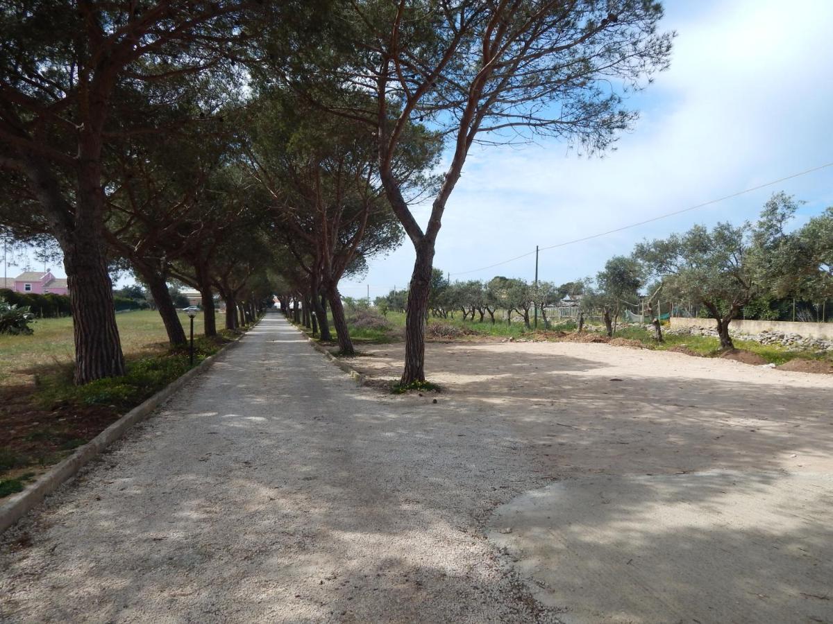 סנטה קרוצ'ה קמרינה Turtle Island Apartments מראה חיצוני תמונה