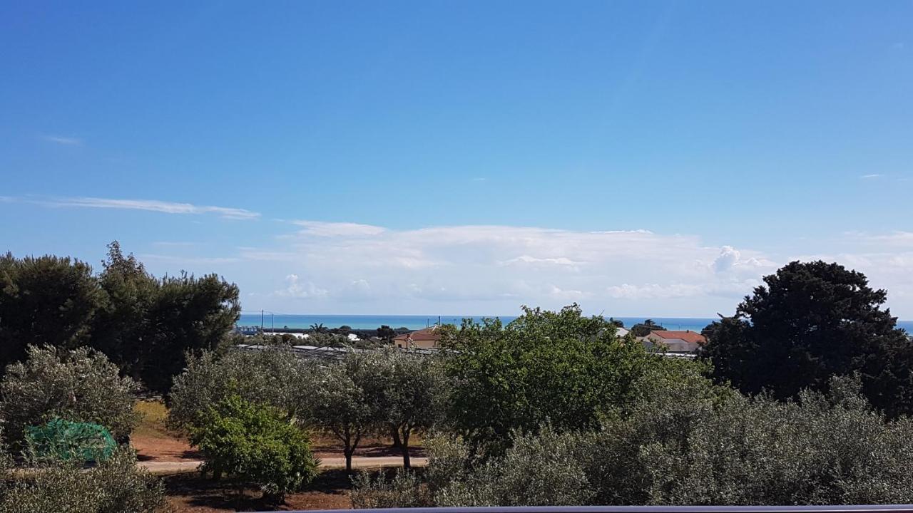 סנטה קרוצ'ה קמרינה Turtle Island Apartments מראה חיצוני תמונה