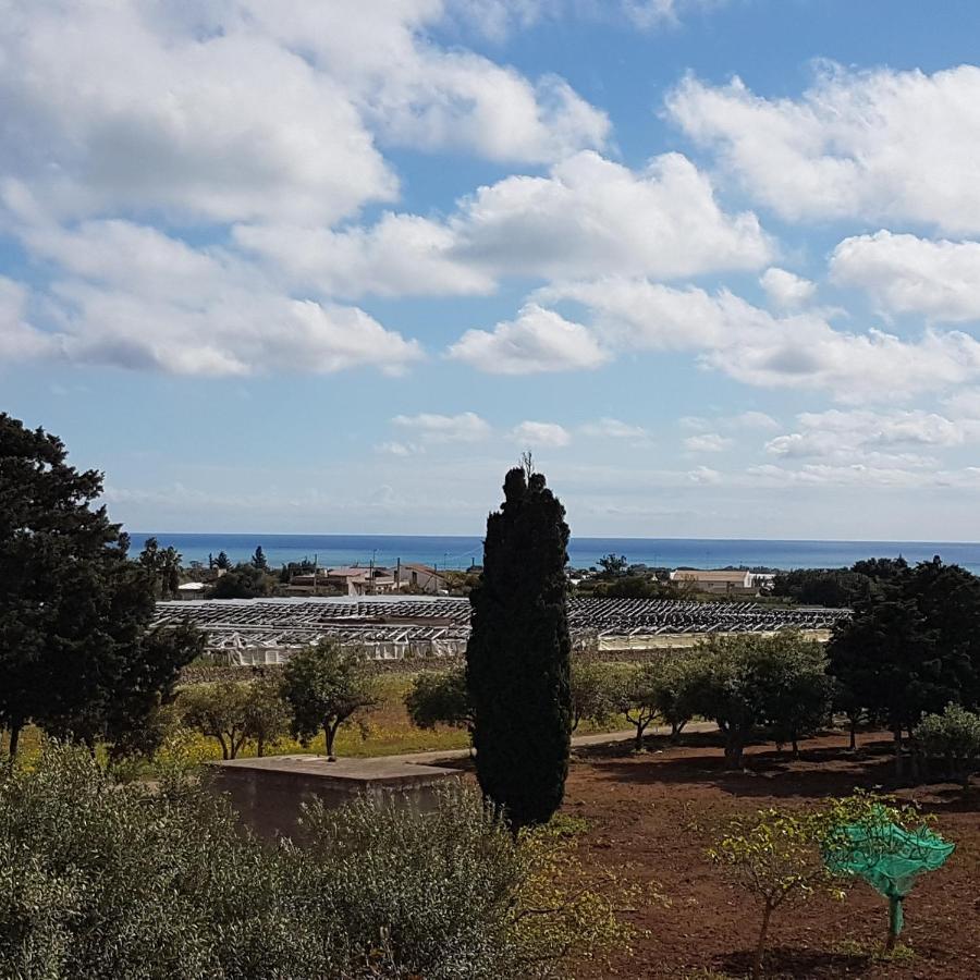 סנטה קרוצ'ה קמרינה Turtle Island Apartments מראה חיצוני תמונה
