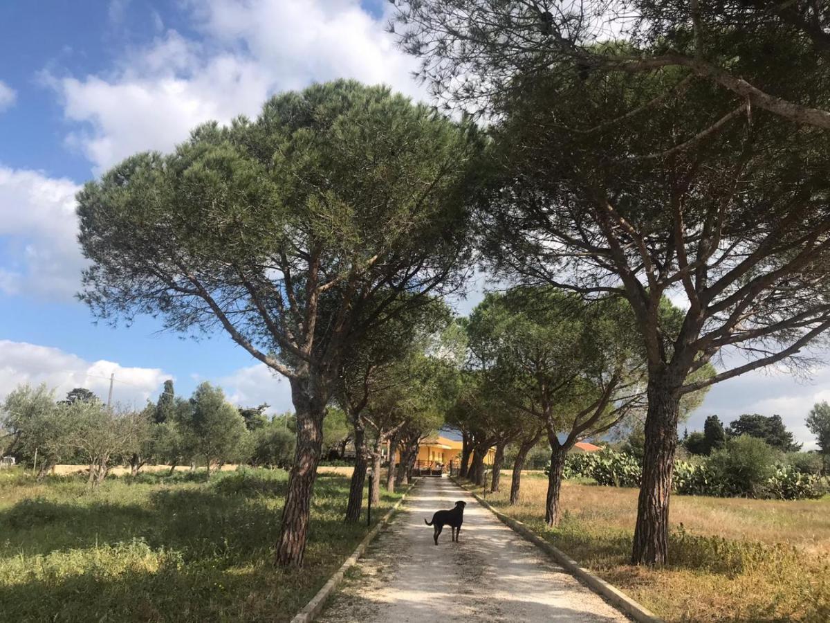 סנטה קרוצ'ה קמרינה Turtle Island Apartments מראה חיצוני תמונה