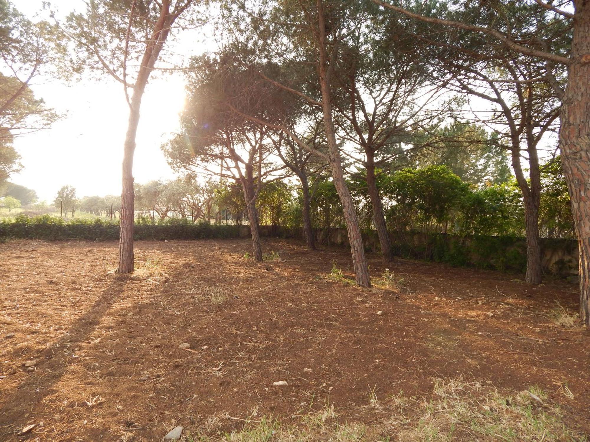 סנטה קרוצ'ה קמרינה Turtle Island Apartments מראה חיצוני תמונה