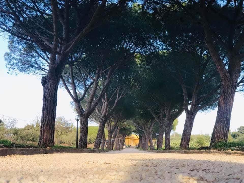 סנטה קרוצ'ה קמרינה Turtle Island Apartments מראה חיצוני תמונה