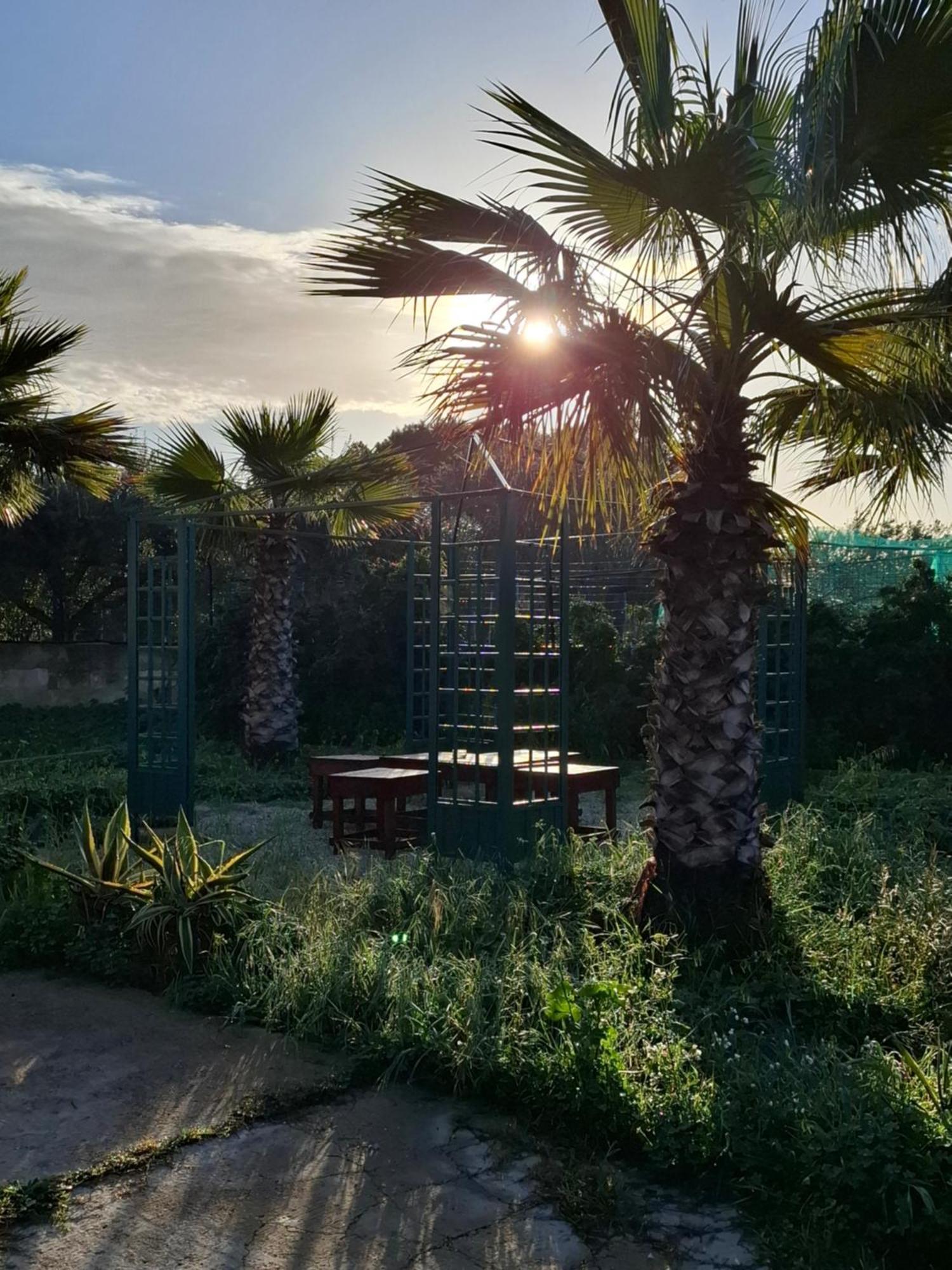סנטה קרוצ'ה קמרינה Turtle Island Apartments מראה חיצוני תמונה