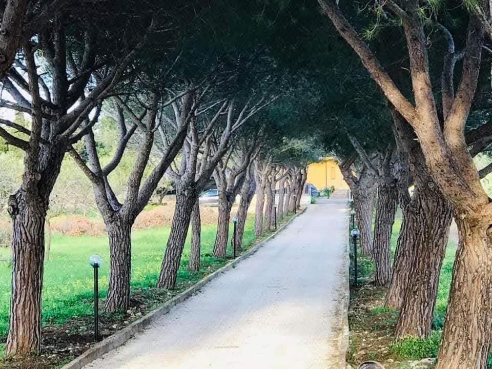 סנטה קרוצ'ה קמרינה Turtle Island Apartments מראה חיצוני תמונה