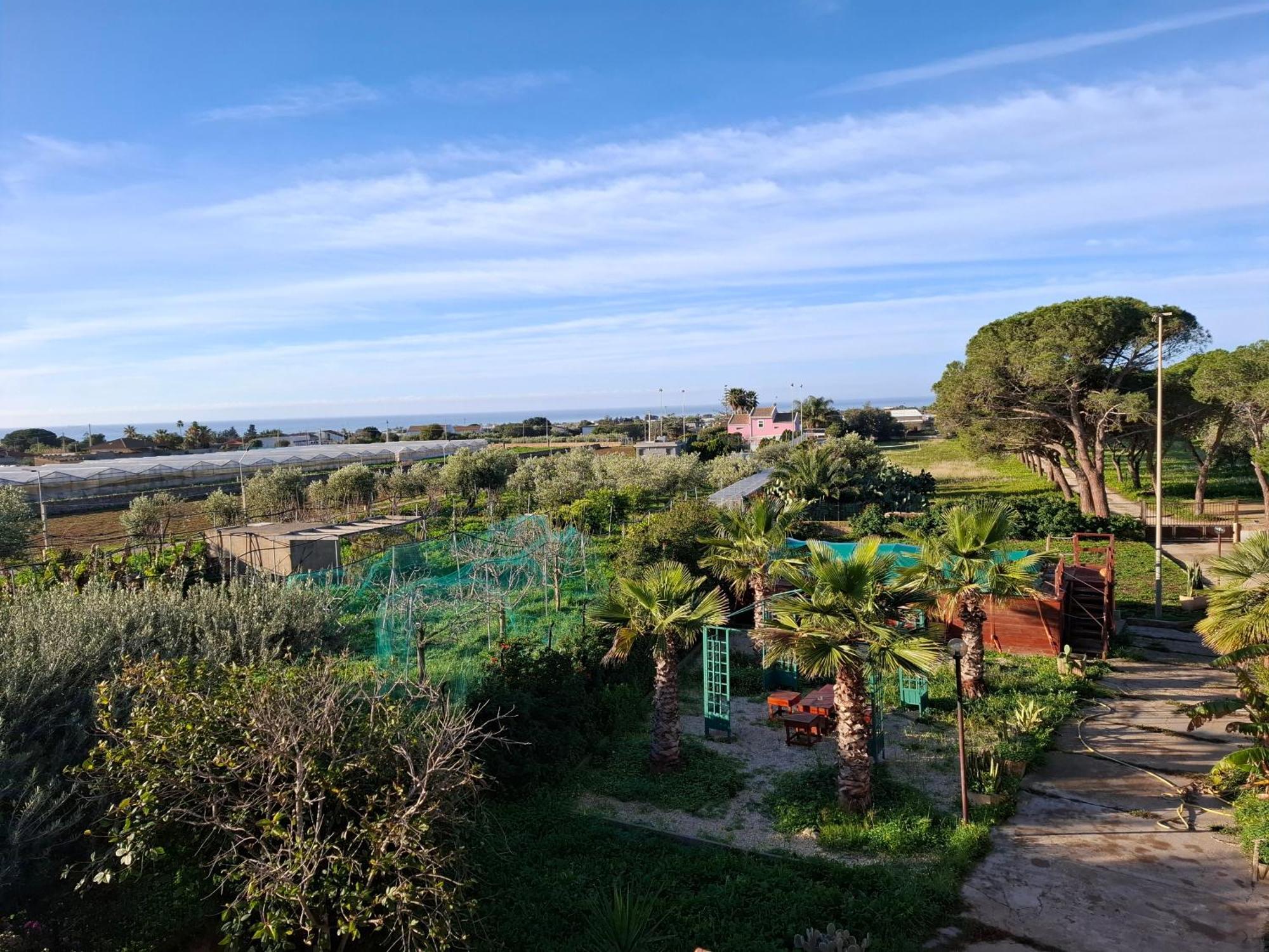 סנטה קרוצ'ה קמרינה Turtle Island Apartments מראה חיצוני תמונה