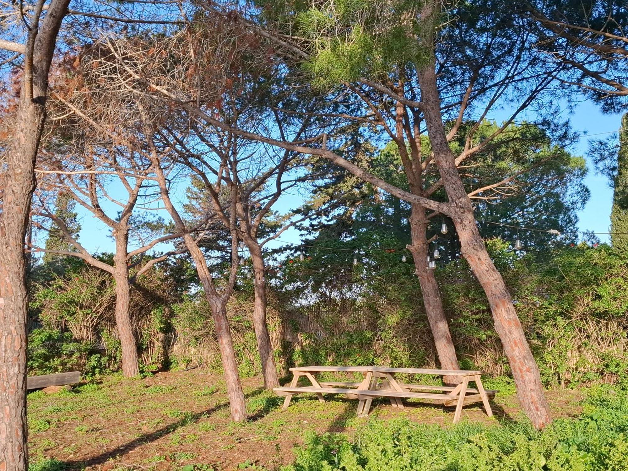 סנטה קרוצ'ה קמרינה Turtle Island Apartments מראה חיצוני תמונה